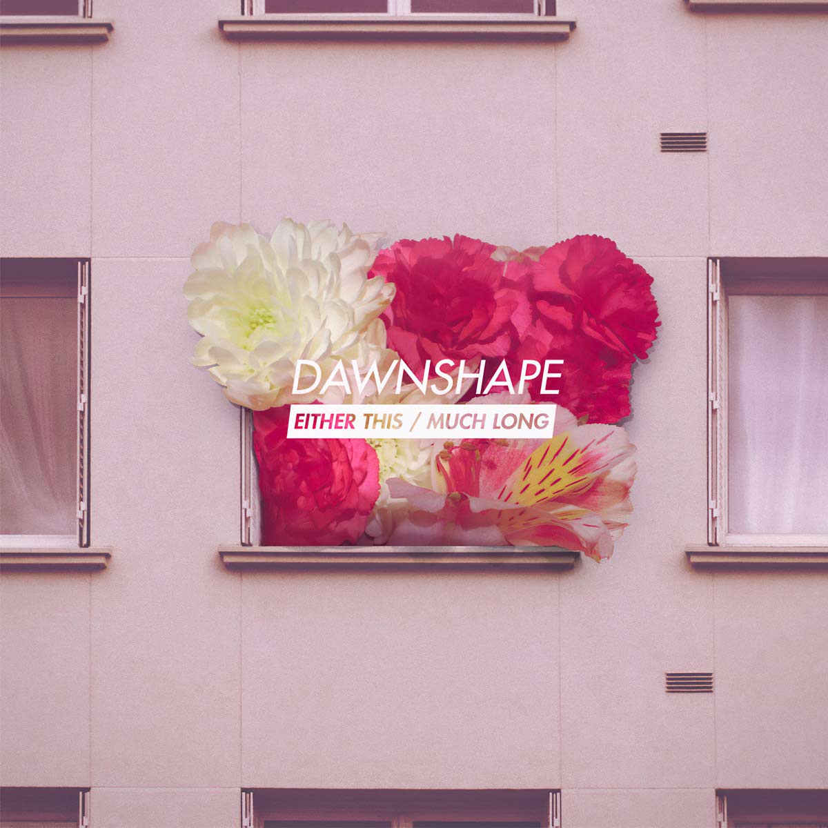 Dawnshape, Either This / Much Long, Digital Album Cover