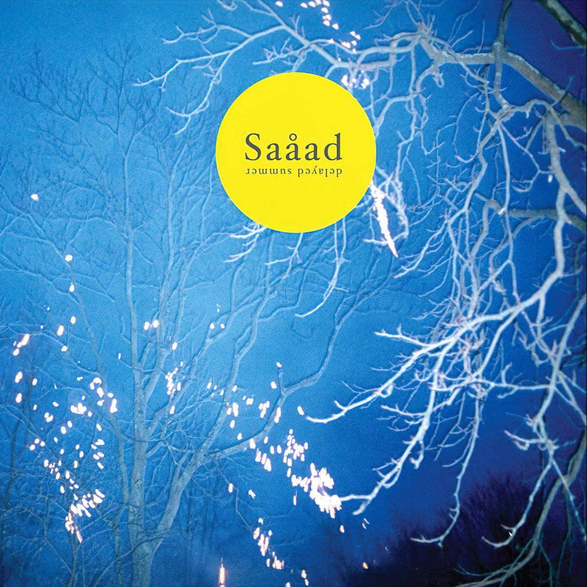 Saåad, Delayed Summer, Digital Album Cover