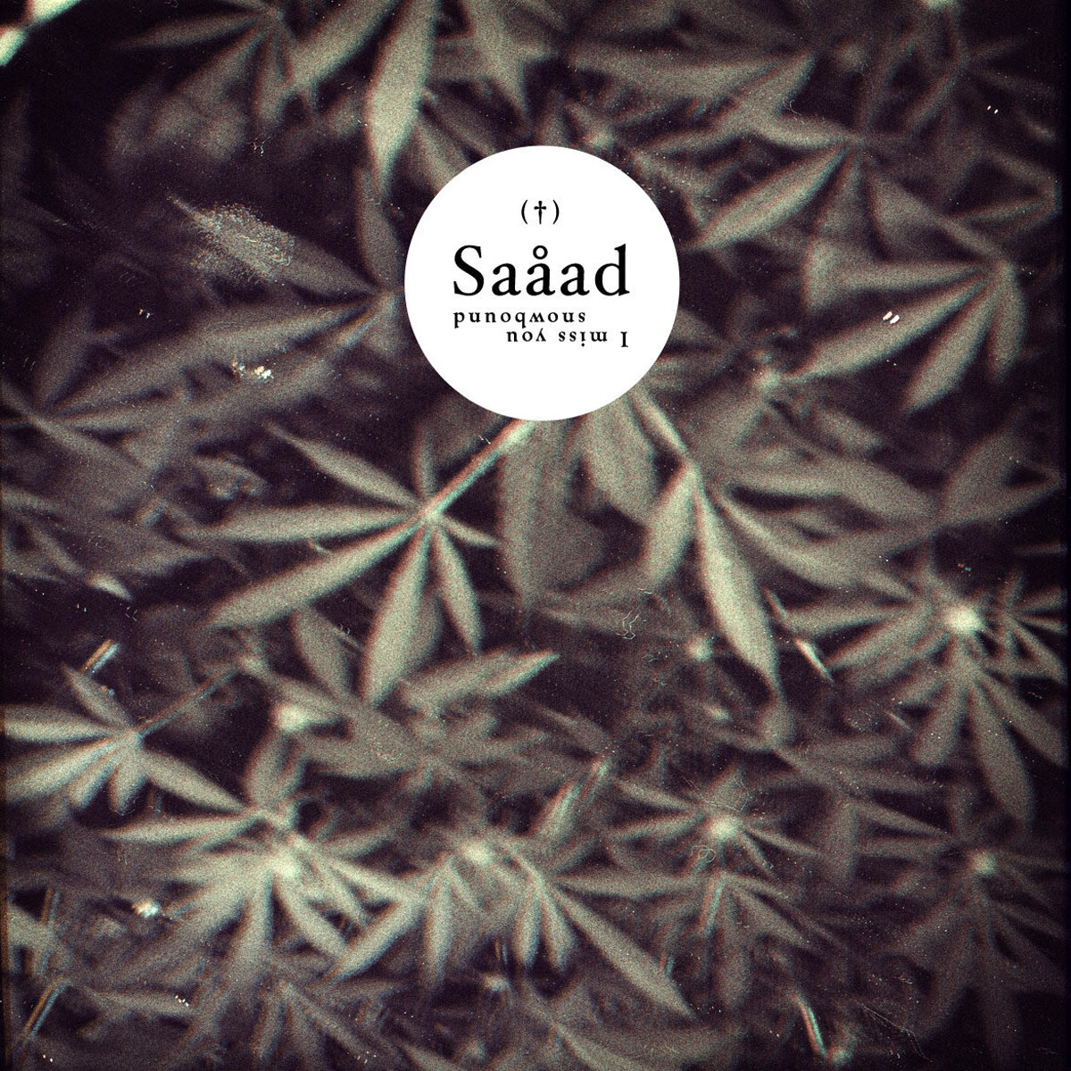 Saåad, Snowbound / I Miss You, Digital Album Cover
