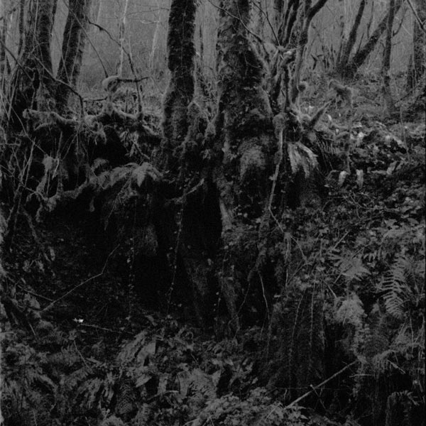 Damian Valles, Sundowning, Digital Album Cover