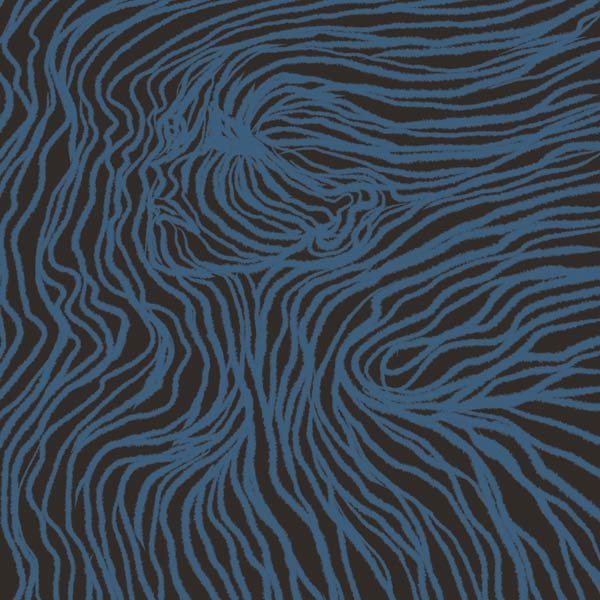 LIIE, Inner Ills, Digital Album Cover